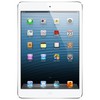 Apple iPad mini 16Gb Wi-Fi + Cellular белый - Кудымкар