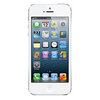 Apple iPhone 5 16Gb white - Кудымкар