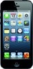 Apple iPhone 5 16GB - Кудымкар